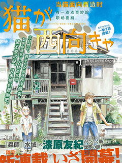 當貓面向西邊時