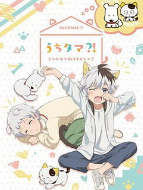 家有圓圓?!～我家的圓圓你知道嗎～