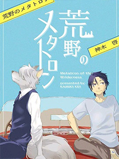 荒野的梅塔特隆