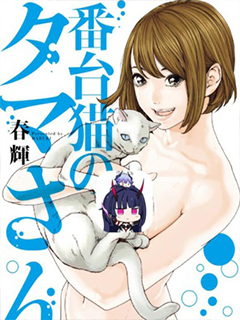 收費員貓咪小玉