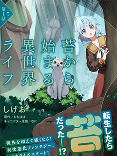 從草開始的異世界生活