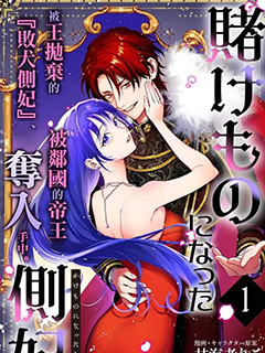 淪為籌碼的側妃