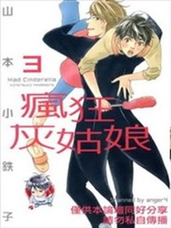 瘋狂灰姑娘